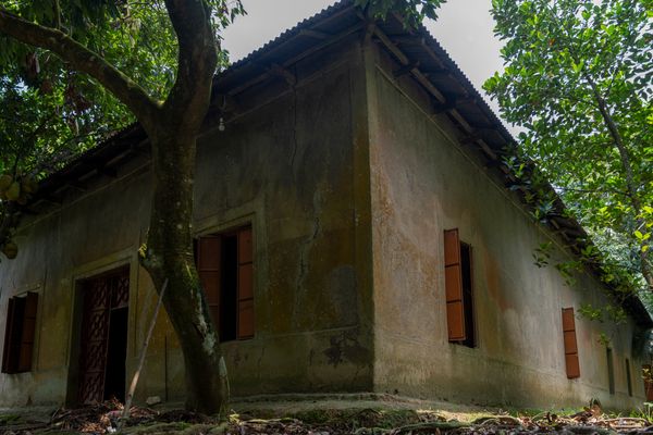 Urbana Green City — site photography 2